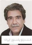 اکبر مهدی زاده